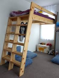 Loft Beds With Bookshelf Ladders Diy Loft Bed Build A Loft Bed Loft Bed Plans