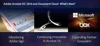 compare versions the differences between acrobat dc vs xi