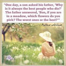 Gone Too Soon Rip Quotes On Picterest Losing A Child Quotes Grief Inspirational Quotes For Daughters