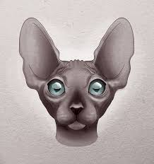 sphinx cat by owl design cat art cat sketch art sketches