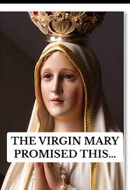 Why Are My Flowers Still Alive After 15 Days Putting Them with The Virgen  Mary