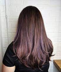 Dark hair with purple tint naiya hair dark purple hair. 26 Best Light Purple Hair Colors Trending In 2021