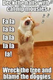 Funniest Animal Pictures Of The Day Funny Cats Dogs Pets Animals Funny Animals With Captions Funny Dog Captions Funny Christmas Pictures