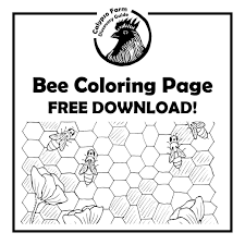Flying bee coloring book for children. Free Honey Bee Coloring Page Calypso Farm