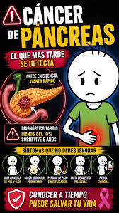 El cáncer de páncreas puede avanzar silenciosamente durante meses., Dolor  abdominal o de espalda, pérdida de peso sin explicación, cansancio, falta  de apetito o piel amarilla pueden ser señales de ...