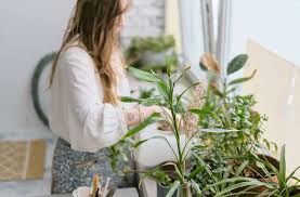 We did not find results for: This Diy Grow Light Will Keep Your Plants From Dying This Winter Well Good