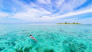 Sulawesi is said to be the tropical heart of global biodiversity. 10 Pantai Populer Di Sulawesi Yang Wajib Dikunjungi