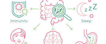 Prebiotics and The Gut Microbiome - Healthy You