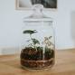 Beach Vacation in a Jar Workshop