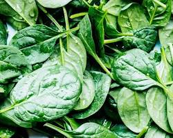 صورة Spinach