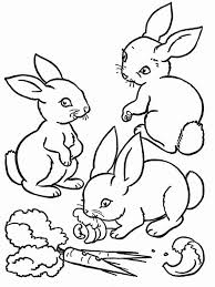 Rabbits are cute, furry creatures that are often found in. Carrot Coloring Pages Best Coloring Pages For Kids