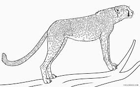 Free cheetah coloring pages to print for kids. Printable Cheetah Coloring Pages For Kids