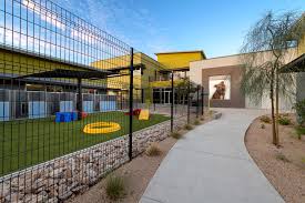 Chihuahuas for adoption pet adoption chandler arizona phoenix arizona safari labrador retriever herbs meet dogs. Heidi S Village Sees Animal Shelter Dream Come To Fruition Az Big Media