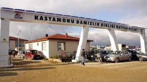 Hayvan Pazari Na Modernizasyon Calismasi Kastamonu Gazetesi Kastamonu Ve Bolge Haberleri Kastamonuspor Sehir Gundemi Ve Son Dakika Haberleri
