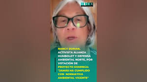 Nancy Duman, Activista Alianza Humboldt por Proyecto Dominga: "Jamás ha  cumplido con normativa"