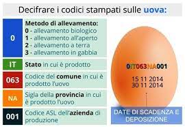 We did not find results for: L Etichetta Delle Uova Come Decifrarla Claudio Roz Coding Consultant