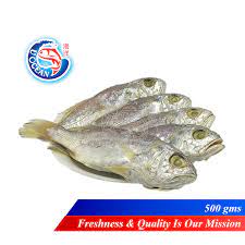 Fsf007 salted croaker fish(without head) (ikan gelama masin). Ikan Masin Gelama Jeruk Saiz S 500 Gms U Ocean Trading
