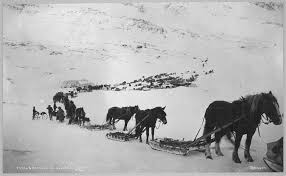 Mail and freight in Alaska 1907 with ...