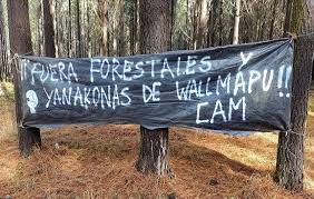 Nación Mapuche. CAM denuncia a empresas forestales como ecocidas y genocidas por los megaincendios y muertes - Resumen Latinoamericano