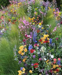 Report From The Chelsea Flower Show Wildflower Garden Plants Chelsea Flower Show