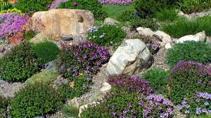 It may also be limited by your ability to move that big boulder to an appropriate location in your yard. How To Make A Rock Garden To Save Yourself From So Much Yard Work