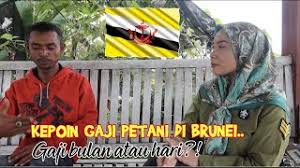 The university of brunei darussalam scholarship is now open. Kurikulum Di Brunei Darussalam Blackelementstar Cute766