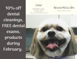 The women of the family had to work really hard and did many jobs. Advanced Pet Care Advancedpetcc Twitter