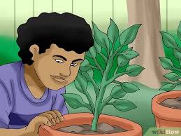 Maybe you would like to learn more about one of these? How To Find Easter Eggs In An Easter Egg Hunt 12 Steps