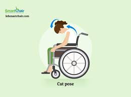 Pin On Yoga For Wheelchair Users