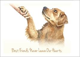 — the bond with a dog is as lasting as the ties of this. 35 Sorry For Your Loss Dog Quotes With Sympathy Quotes Muse
