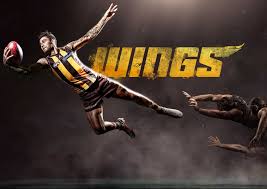 The hawthorn football club, nicknamed the hawks, is a professional australian rules football club based in mulgrave, victoria, that competes. Hawthorn Hawks Wallpaper Kolpaper Awesome Free Hd Wallpapers
