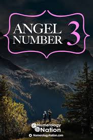 Angel Number 3 What Does The Number 3 Mean In Numerology Numerology Life Path 3 Life Path