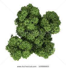 4shared lihat semua gambar di folder top view bloemen