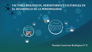 Existen diferentes posturas sobre los tipos de vegetación. Factores Biologicos Hereditarios Y Culturales En El Desarro By Yazmin C