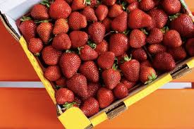Anders als bananen können erdbeeren nicht grün gepflückt werden und nachreifen. Erdbeer Saison 12 Orte An Denen Ihr In Berlin Erdbeeren Bekommt