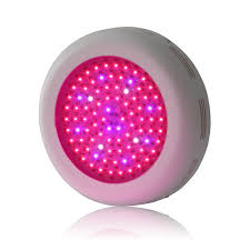 Finger Weg 3 Ungeeignete Led Grow Lampen Zum Cannabis Anbauen