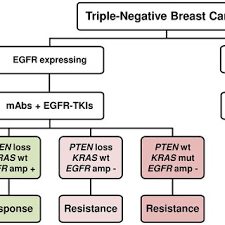 And paclitaxel versus placebo and paclitaxel in participants with previously untreated locally advanced or metastatic triple negative breast cancer (tnbc) (impassion131). A Suggested Algorithm For Predicting The Response To Treatment With A Download Scientific Diagram