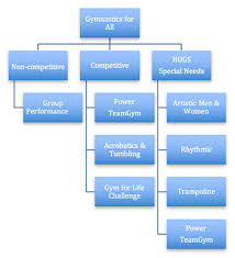 Usa Gymnastics Gymnastics 101 Gymnastics For All