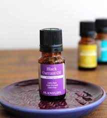 Spotlight On Black Currant Seed Oil Black Currant Seed Oil Black Currant Oil Black Currants