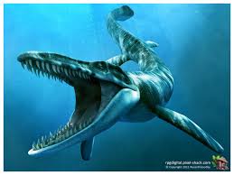 Tylosaurus proriger swam ...