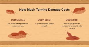 This coverage doesn't guarantee, however, that if your garage or shed burn down, your insurance is enough to replace them. Should You Buy A House With Termite Damage Qcn