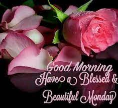 Flowers assumed a noteworthy job all through mankind's history. 57 Good Morning Ideas Good Morning Good Morning Quotes Good Morning Good Night