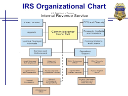 24 most popular irs organizational chart