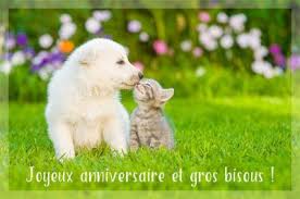 Cartes humour virtuelles gratuites cybercartes. Carte Anniversaire Animee Joliecarte Com Joyeux Anniversaire Chien Animales Anniversaire Chien