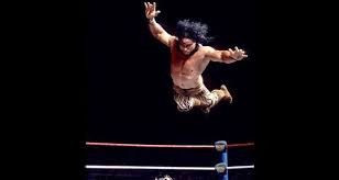 Rip Jimmy Snuka Tmmac The Mma Community Forum