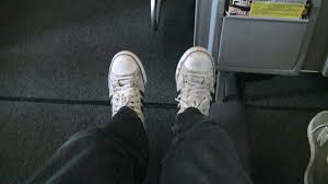 Swan, falcon, grouse, eagle, hawk, swallow, goose, swift, avocet, blackbird, crane, herring gull, sparrow hawk, partridge, pintail, owl, robin. United Airines 737 800 Premium Economy Plus Seat 7d Modhop Com