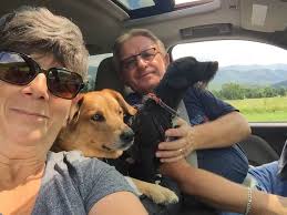 Is your dog less fearful with a new harness?