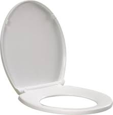 Siege De Toilette Delta Fermeture Lente Allonge Canadian Tire