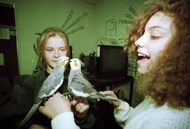 Carling Breweries expanded in city 50 years ago