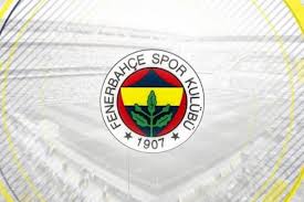 Fenerbahçe ile paribu işbirliğinde geliştirilen fenerbahçe token ön satışa sunuldu. Fenerbahce Token On Satisa Cikti 30 Saniyede Tukendi Tarafsiztv